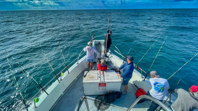 Torneo Internacional de Pesca Marlin y Atún 2026